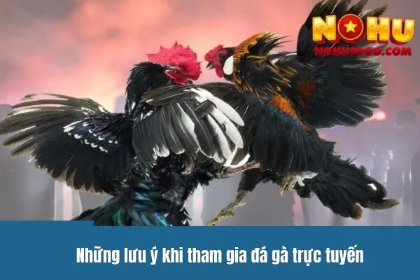 Trực Tiếp Đá Gà Thomo - Kỹ Thuật Đánh Và Chiến Lược Hiệu Quả 3 Những lưu ý khi tham gia đá gà trực tuyến