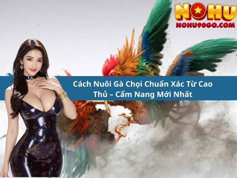 Cách Nuôi Gà Chọi Chuẩn Xác Từ Cao Thủ – Cẩm Nang Mới Nhất 1 Cách Nuôi Gà Chọi Chuẩn Xác Từ Cao Thủ – Cẩm Nang Mới Nhất