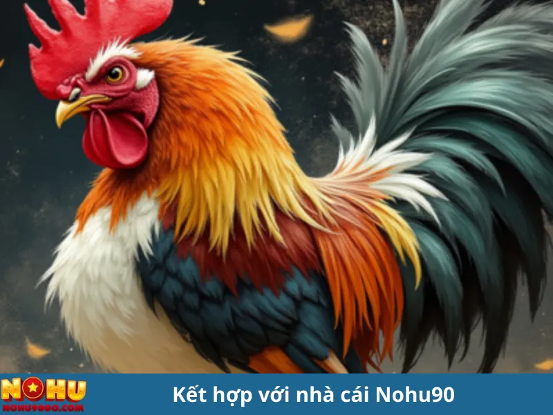Cách Nuôi Gà Chọi Chuẩn Xác Từ Cao Thủ – Cẩm Nang Mới Nhất 3 Cách Nuôi Gà Chọi Chuẩn Xác Từ Cao Thủ – Cẩm Nang Mới Nhất